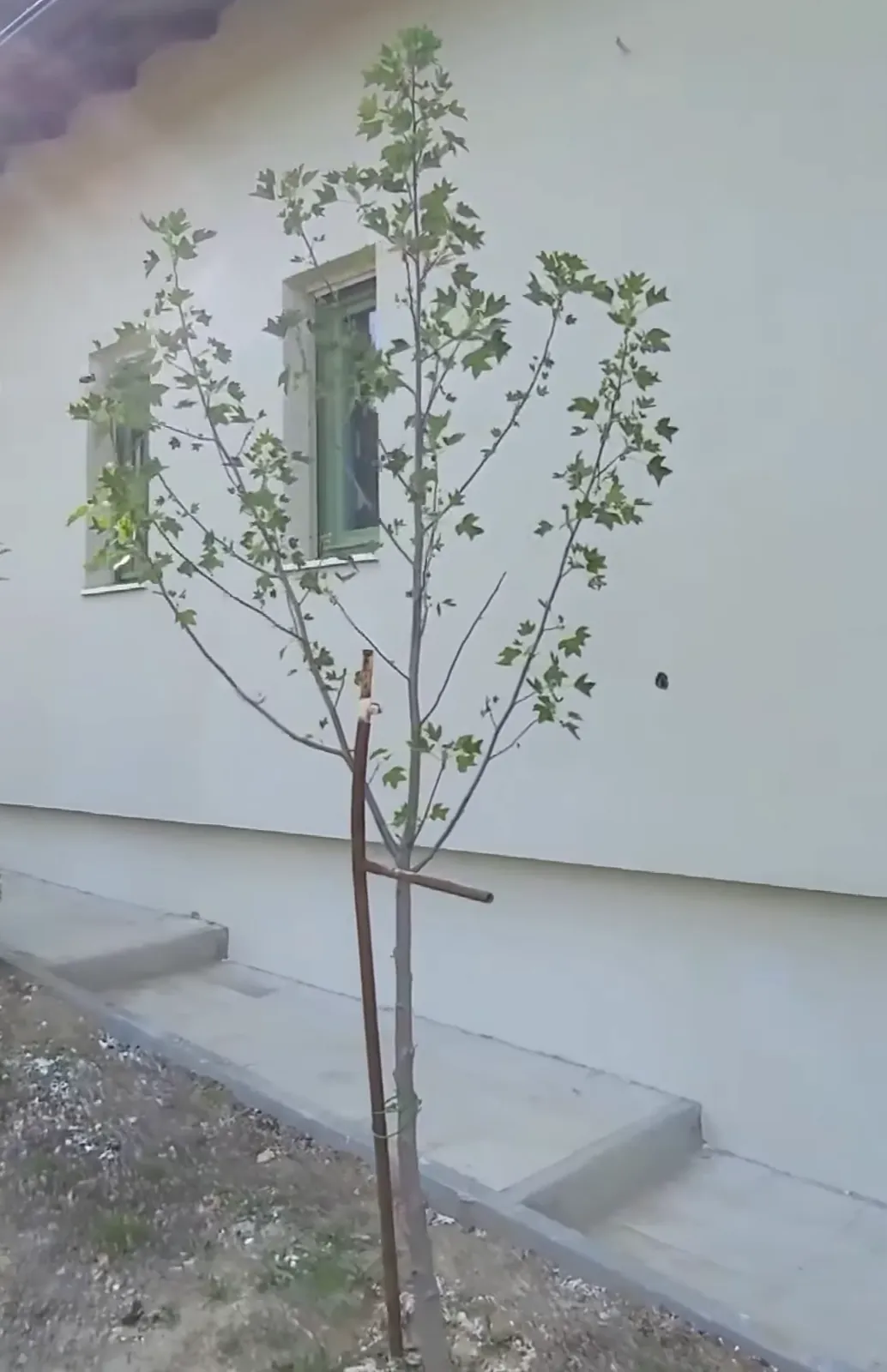 Bočni zid sa ravnom belom fasadom i novim prozorima